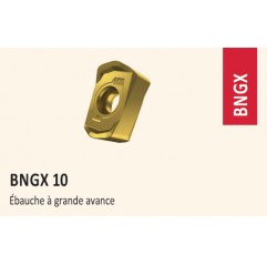 PLAQUETTES DE FRAISAGE  BNGX ET ANHX DE 10 POUR FRAISE SNB10 GRANDE AVANCE